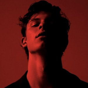 Immagine per 'Shawn Mendes'