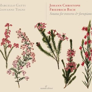 Immagine per 'Sonatas for Traverso & Fortepiano (Marcello Gatti, Giovanni Togni)'