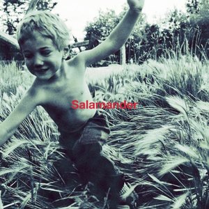 Image for 'Salamander'