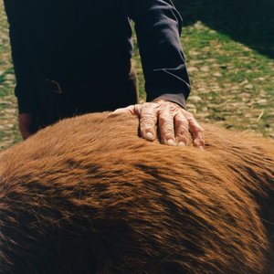 Image for 'Held in the Dark'