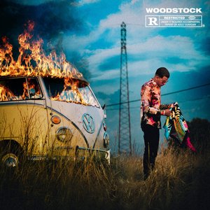 Immagine per 'Woodstock'