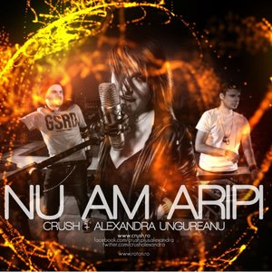 Image for 'Nu am aripi (Radio Edit)'
