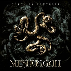 Image for 'Catch Thirty-Three'