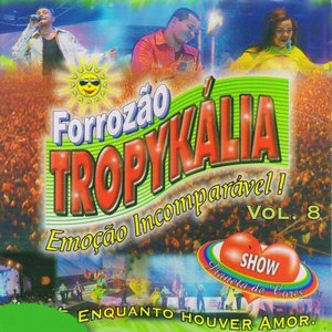 Image for 'Emoção Incomparável, Vol. 8'