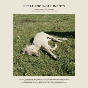 Image for 'Touchtheplants Presents: Breathing Instruments'