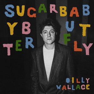 'Sugar Baby Butterfly' için resim