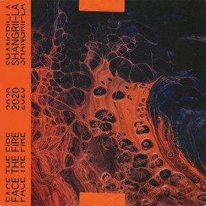 Image for 'Face the Fire'