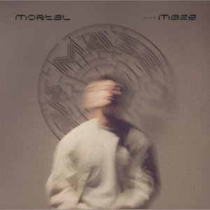Image for 'Maze'