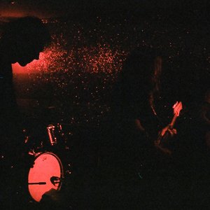 Image for 'Duster'