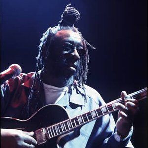 Immagine per 'James Blood Ulmer'