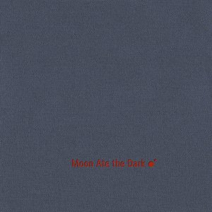 Image for 'Moon Ate The Dark II'