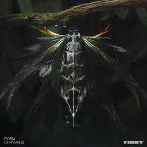 Image for 'Chrysalis'