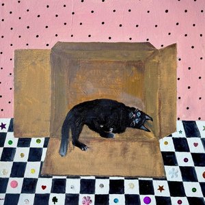 Image for 'Mercy Kill (Schrödinger's Cat)'