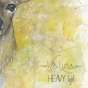 Image for 'Heavy Light'