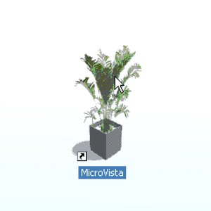 'MicroVista'の画像