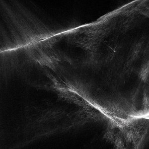 Image for 'Final Light'