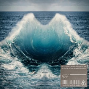 Immagine per 'Silence (John Summit Remix)'