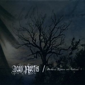 Image for 'Between Thorns And Silence'