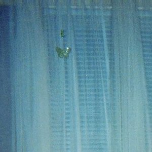 Immagine per 'Swell blue'