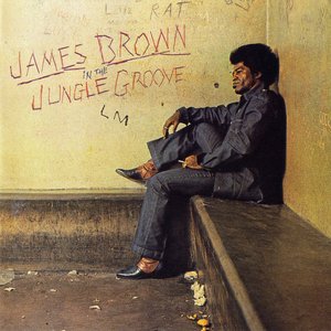 Image for 'In the Jungle Groove'