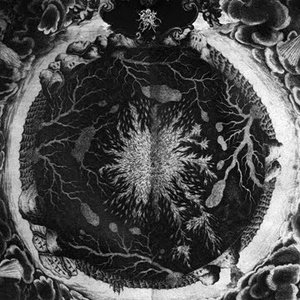 Image for 'Luciform'