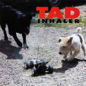 Изображение для 'Inhaler'