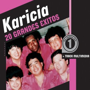Imagen de '20 Grandes Exitos'