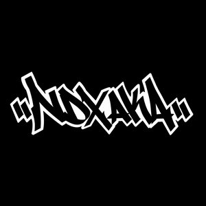 Image for 'NDX Aka'