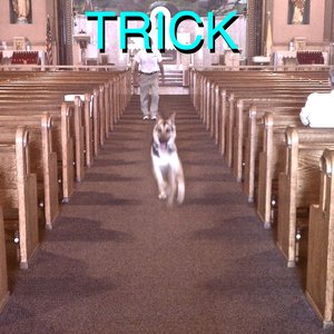 Изображение для 'TRICK'