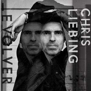 Image for 'evolver'