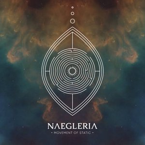 Image for 'Naegleria'