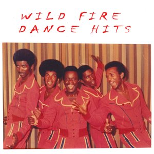 Immagine per 'Dance Hits'