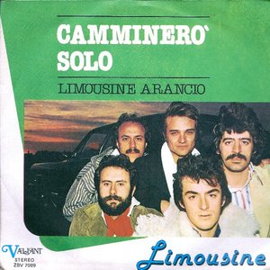 Image for 'Camminerò Solo / Limousine Arancio'