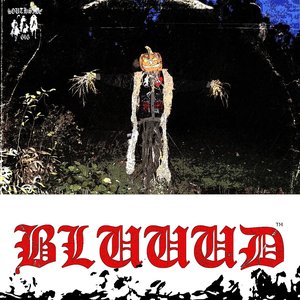 Image for 'BLUUUD'