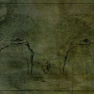 Изображение для 'вое_еро'