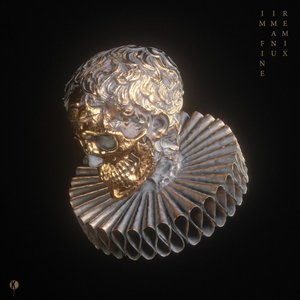 Bild für 'I'm Fine (IMANU Remix)'