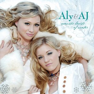 Immagine per 'Acoustic Hearts of Winter'