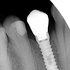 Avatar for cdental
