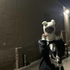 Avatar for k0sta666