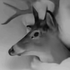 Avatar for Reality_7