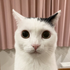 Avatar for sillyguy365
