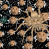 Avatar for Scientistnyasha