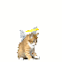 Avatar for Sweetbunnykoko