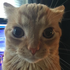 Avatar for Institute_