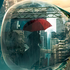 Avatar for Hydra_PV