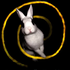 Avatar for Dreamoutput