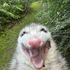 Avatar for LOBOTOMYRAT