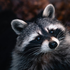 Avatar for Pawloko