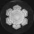 Avatar for Sopitum