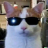 Avatar for Afternooooooon
